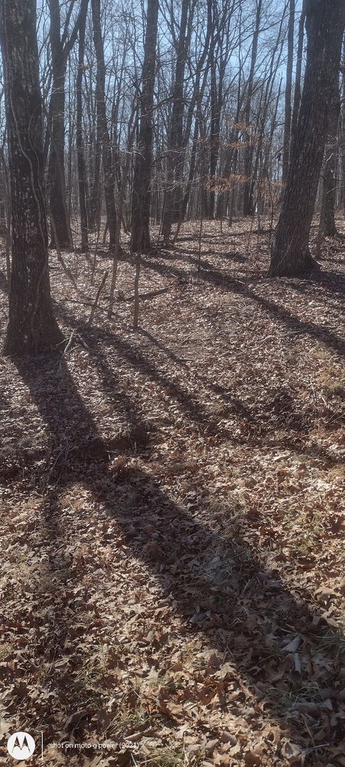 1 Ridge Cliff Dr, Monteagle, TN, 37356 | Card Image