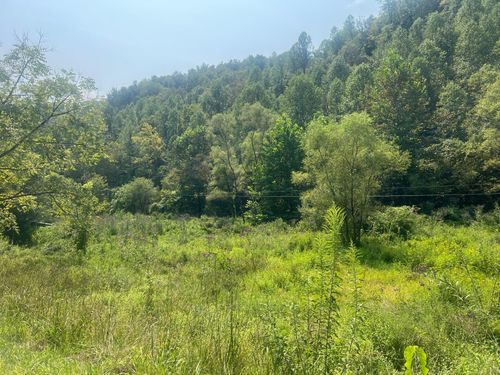 00 Ky Route 3385, Prestonsburg, KY, 41653 | Card Image