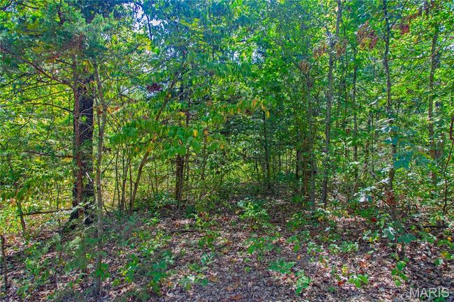 30801 Godt Rd, Home with 0 bedrooms, 0 bathrooms and null parking in Wright City MO | Image 8