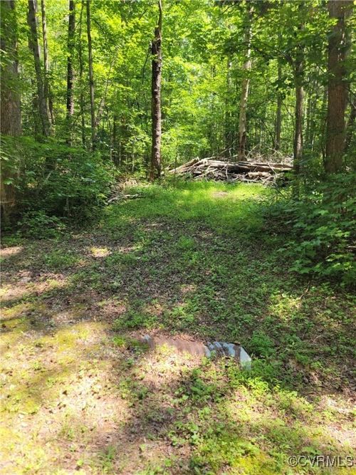 000 Ellis Dr, Maidens, VA, 23102 | Card Image
