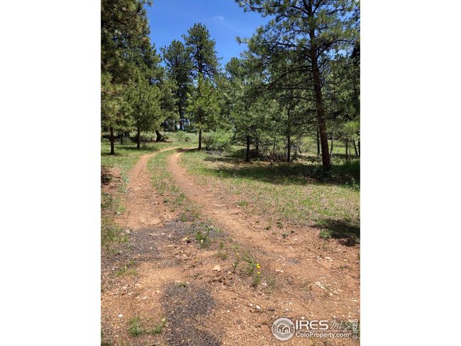 442 Quarter Circle Ln, Home with 0 bedrooms, 0 bathrooms and null parking in Evergreen CO | Image 11