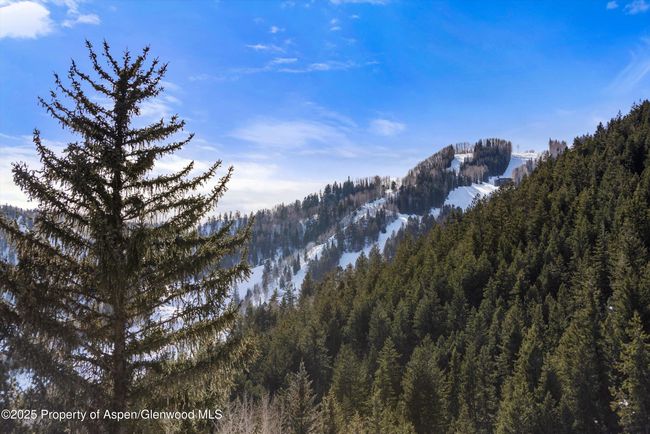 B202 - 503 W Main St, Condo with 3 bedrooms, 3 bathrooms and 1 parking in Aspen CO | Image 22