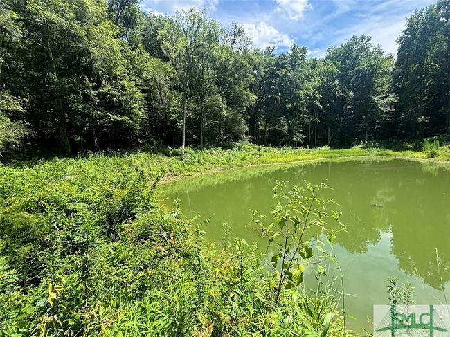 Pond area | Image 29