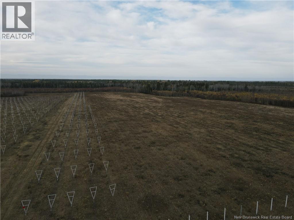 Land in Sainte-Anne-De-Kent 5