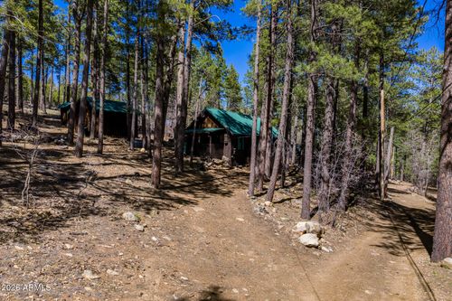 6248 Dairy Ln, Mormon Lake, AZ, 86038-0028 | Card Image