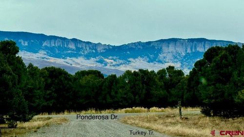 Lot 13G Ponderosa Dr, Ridgway, CO, 81432 | Card Image