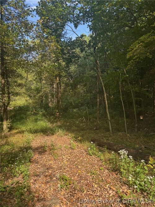 2843 E Thornton Rd, Madison, IN, 47250-9571 | Card Image