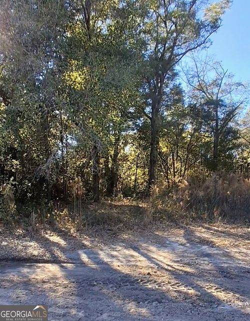 0 Big Oak Ln, Newton, GA, 39870 | Card Image