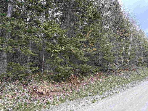 0 E Hill Rd, Chester, VT, 05143 | Card Image