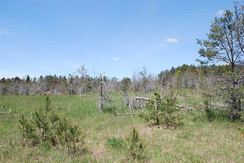 Parcel #2 & #5 Se Riley, Kalkaska Township, MI, 49646 | Card Image