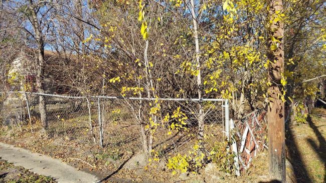 View of yard | Image 4