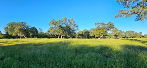 00 Fruitvale Road, Lincoln, CA, 95648 | Card Image