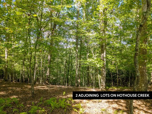 LT 27/28 Donna Lee Ln, Mineral Bluff, GA, 30559 | Card Image