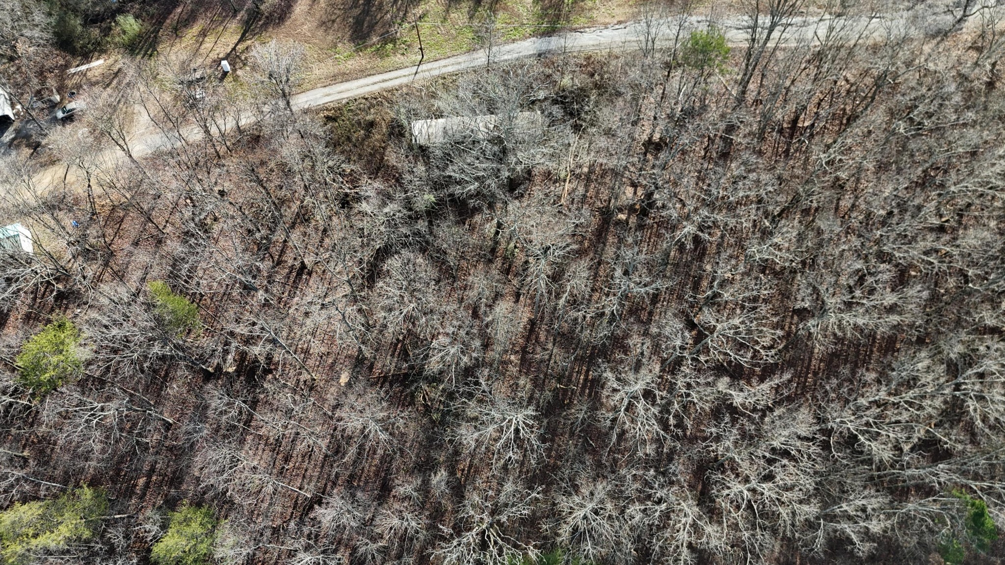 Land in Rockwood 2