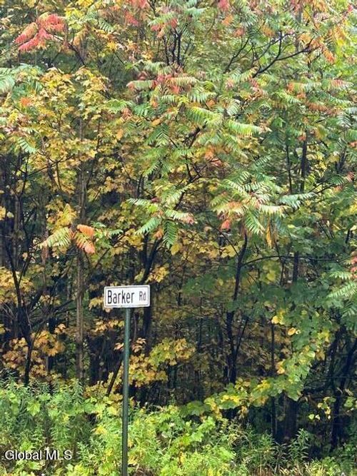 0 North Rd, Dolgeville, NY, 13329 | Card Image