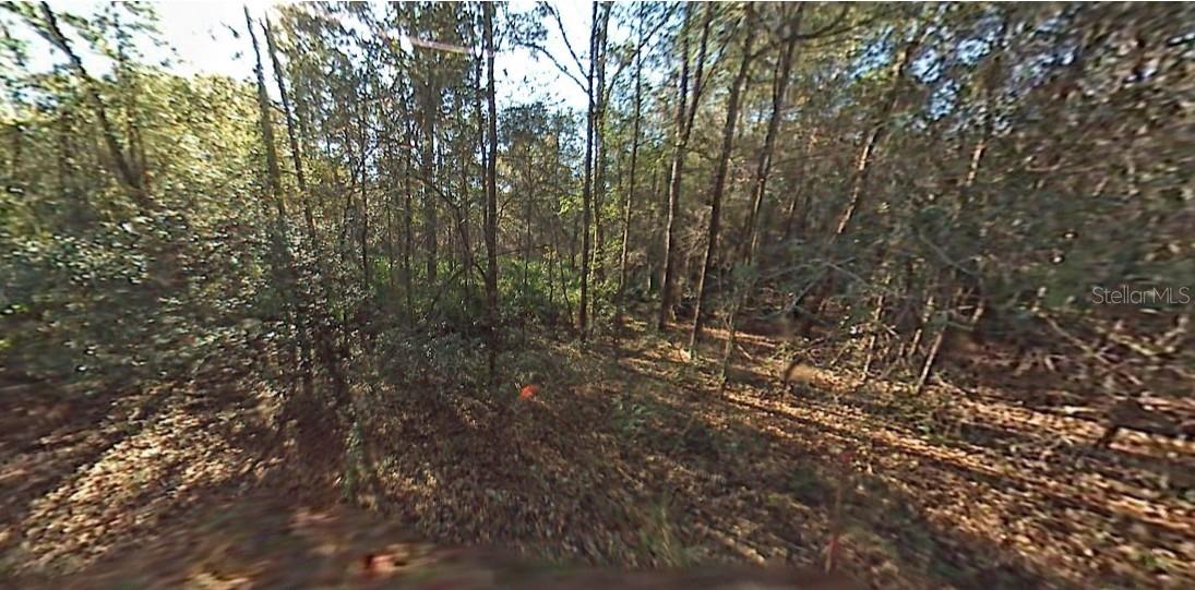 Land in OCALA