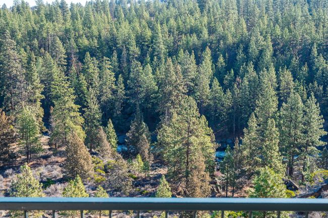 11-web-or-mls-1-16-25 19717 Mt Bachelor | Image 18