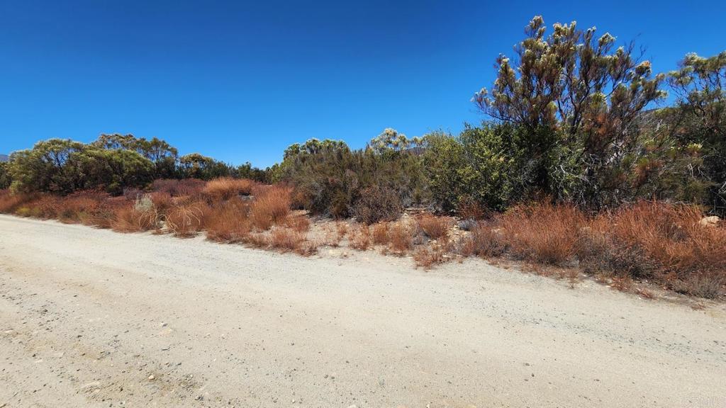 Land in Warner Springs 3