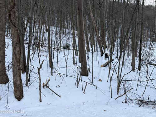 LOT 171 Scenic Ave, Bloomsburg, PA, 17815 | Card Image