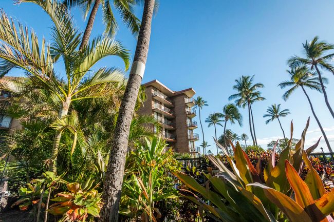 APT-301 - 938 S Kihei Rd, Condo with 1 bedrooms, 1 bathrooms and null parking in Kihei HI | Image 15