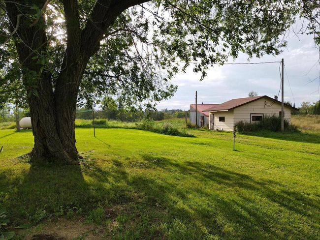Backyard to storage buildings | Image 21