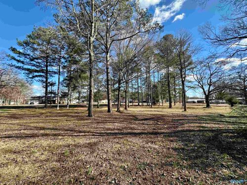 0.89 Acres Case Ave Se, Attalla, AL, 35954 | Card Image