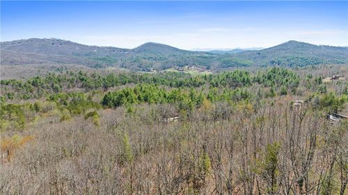 40B Synacia Dr, Mineral Bluff, GA, 30559 | Card Image