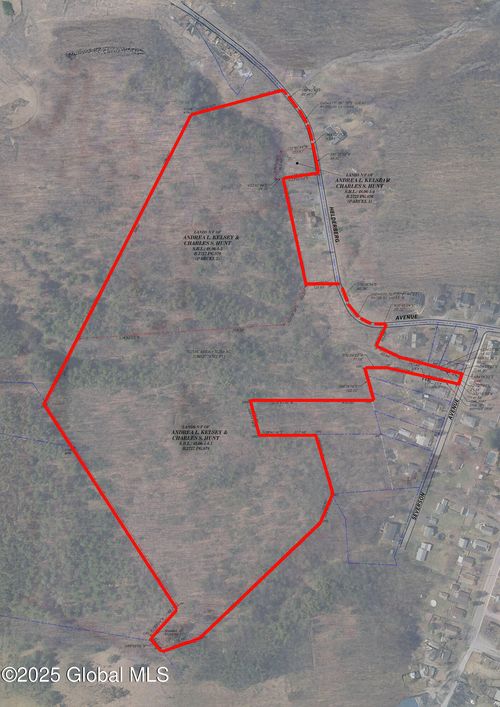 102 Severson Ave, Altamont, NY, 12009-7725 | Card Image