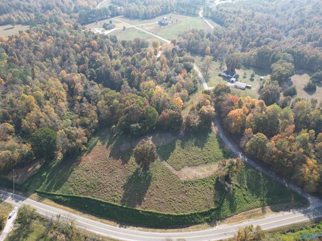 4 Highway 99, Home with 0 bedrooms, 0 bathrooms and null parking in Anderson AL | Image 5