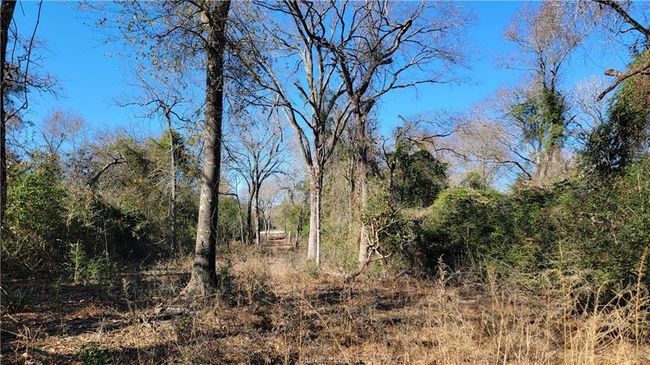 15 Old Hickory Grove Rd, House other with 4 bedrooms, 4 bathrooms and null parking in Franklin TX | Image 16