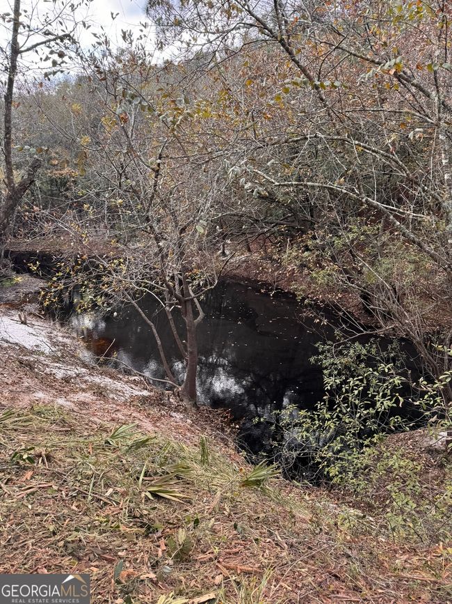 0 Highway 185, Home with 0 bedrooms, 0 bathrooms and null parking in Saint George GA | Image 57