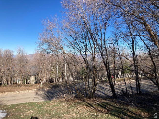 View of yard | Image 15
