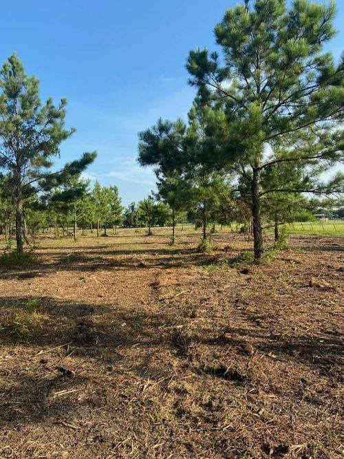 5510 County Road 602, Dayton, TX, 77535-6593 | Card Image