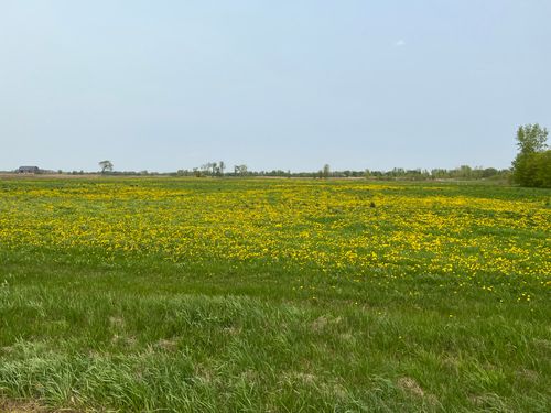 Lt0 Deer Dr, Pulaski, WI, 54162 | Card Image