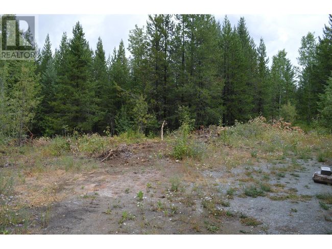 Lot 1 3 Rd St, Home with 0 bedrooms, 0 bathrooms and null parking in Kootenay Boundary BC | Image 6