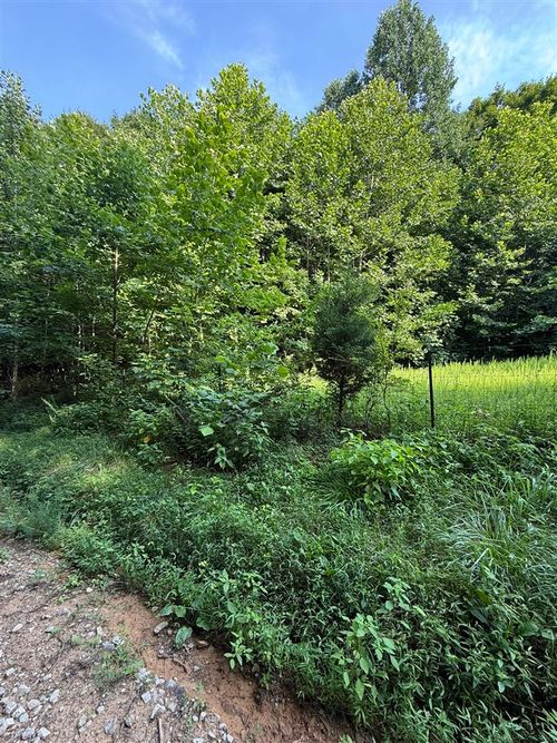 158 Acres Johnson Cemetery Road, Morgantown, KY, 42261 | Card Image