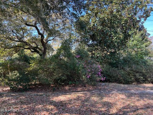 0 Camelia, Pass Christian, MS, 39571 | Card Image