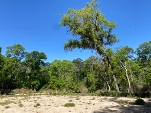 6079 Josie Ridge Rd, Wadmalaw Island, SC, 29487-6840 | Card Image