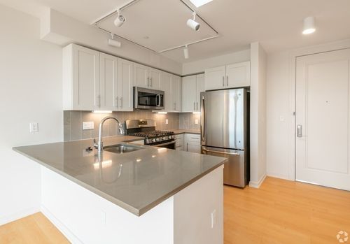 115-77 New, Cambridge, MA, 02138 | Card Image