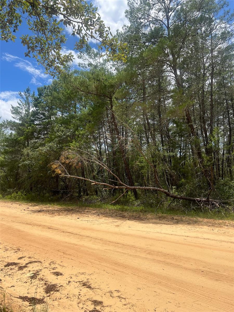 Land in INTERLACHEN 3