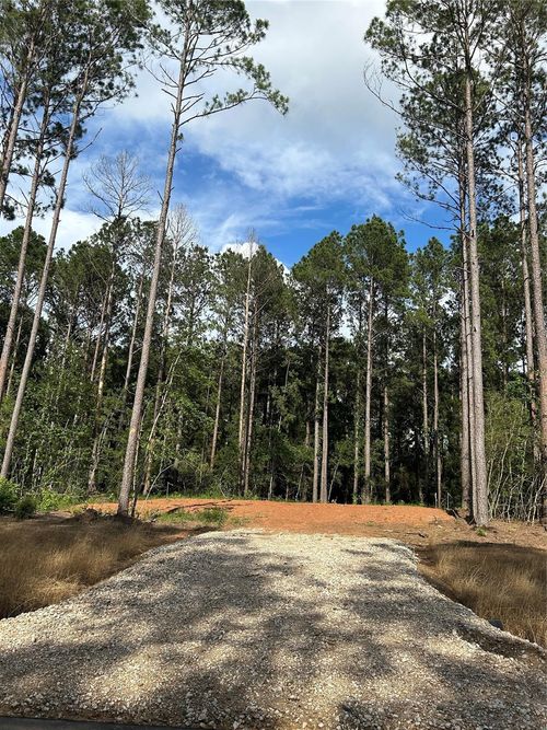 11356 Annie Creek Drive, Willis, TX, 77378 | Card Image