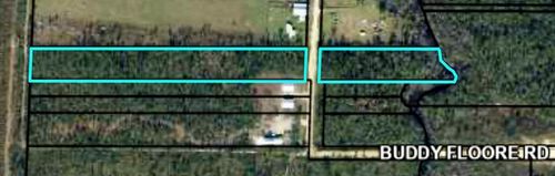 Lot 42 Buddy Floore Rd, Wewahitchka, FL, 32465-6343 | Card Image