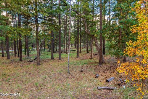000 County Road 2196, Alpine, AZ, 85920 | Card Image