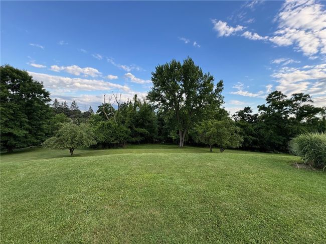 Back yard | Image 29