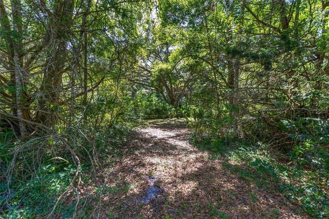 13207 Sw Williston Rd, House other with 3 bedrooms, 2 bathrooms and null parking in MICANOPY FL | Image 54