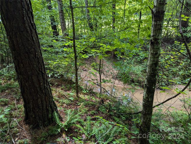 View of Stream~~ | Image 16