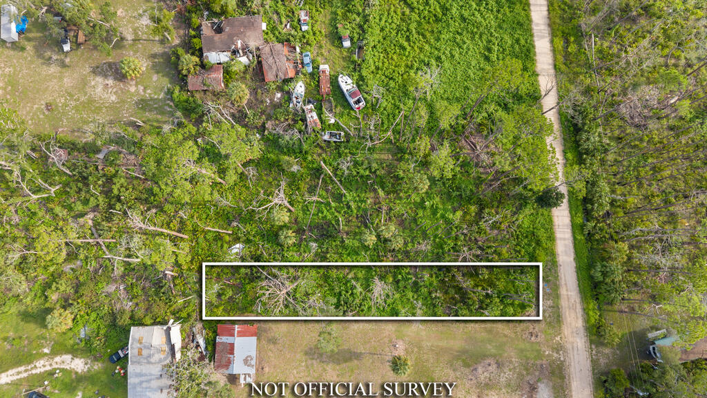 Land in Steinhatchee