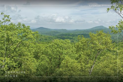 Lot 17 Orchard Way, Sapphire, NC, 28774 | Card Image