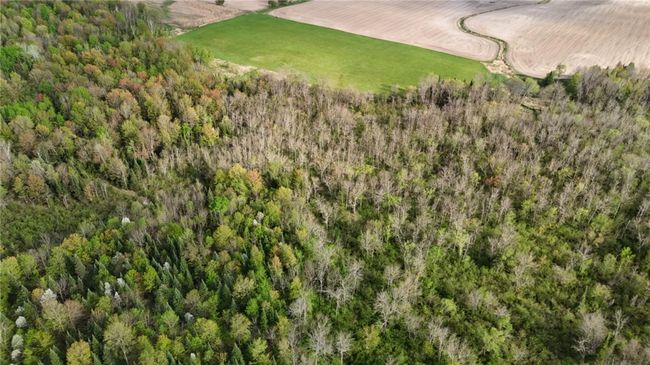 0000 Trucker Ln, Home with 0 bedrooms, 0 bathrooms and null parking in Gilman WI | Image 11