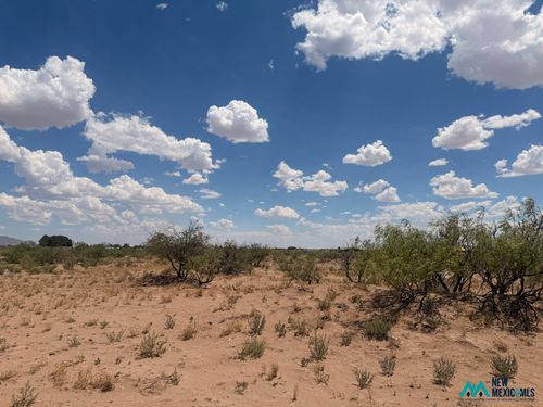 14-0 00 Bronco Buster Rd, Deming, NM, 88030 | Card Image